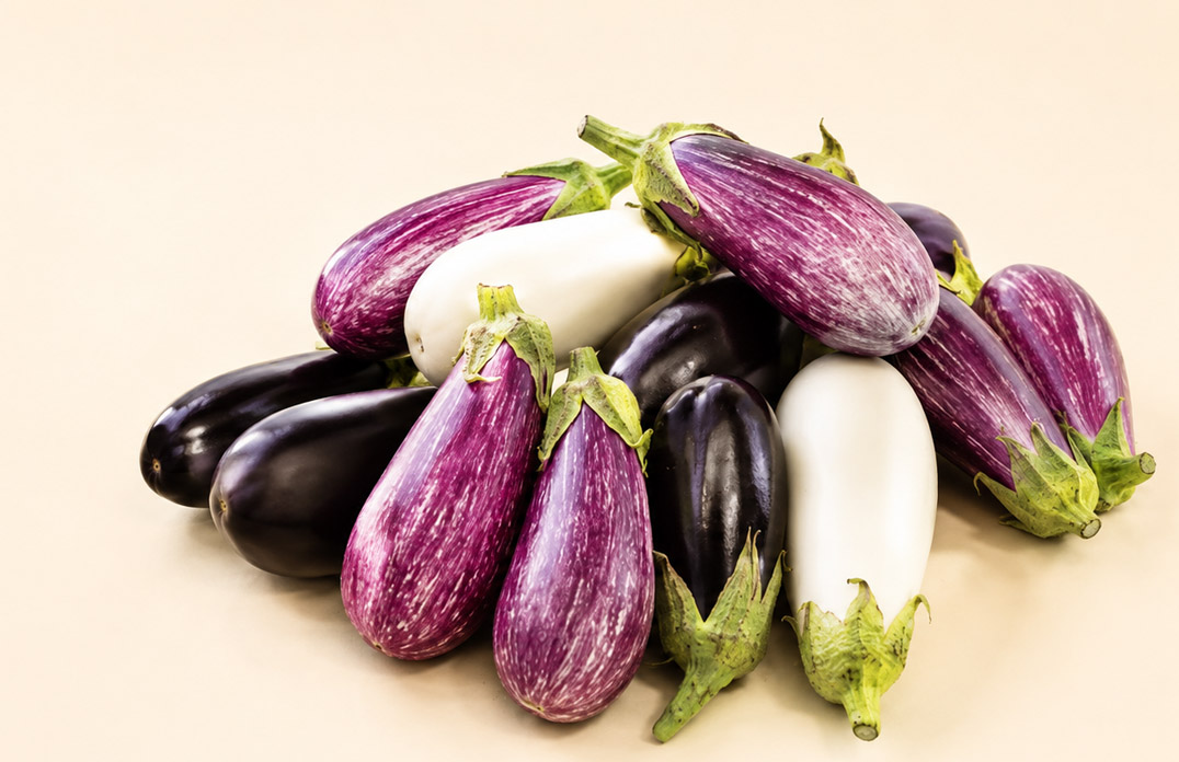 Brinjal