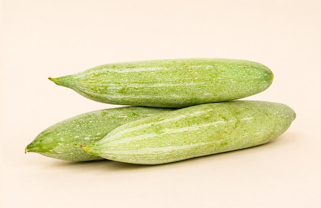 Snake Gourd