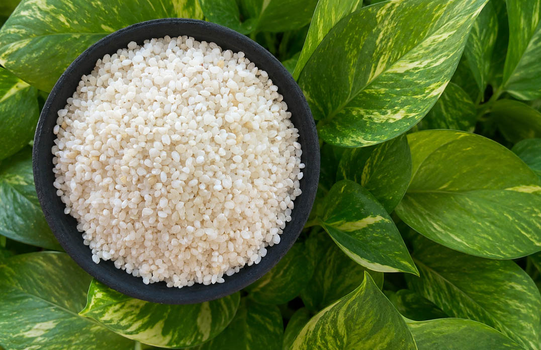Ambemohar Rice