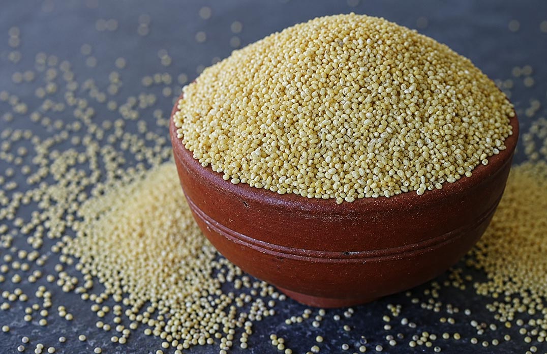 Little Millets