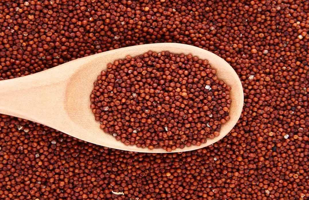 Finger Millets