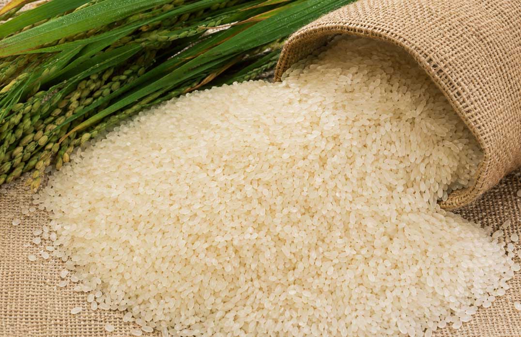 Joha Rice