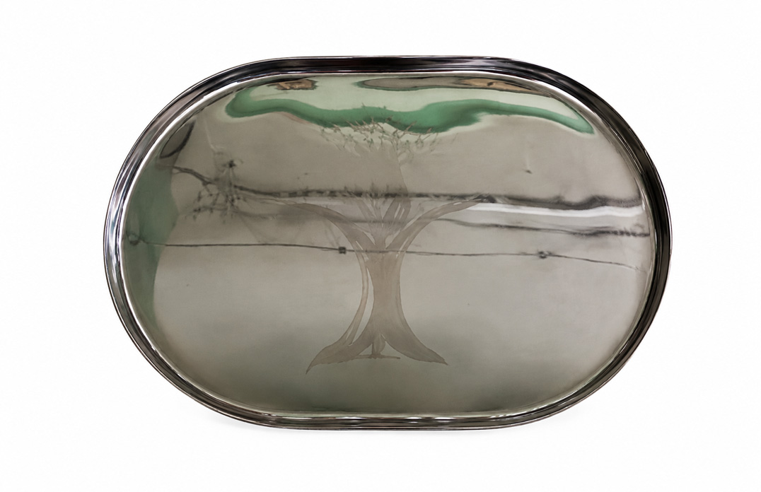 Stainless Steel Oval Long Tray