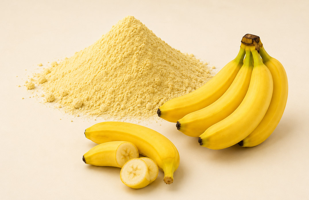 Dehydrated Yellow Banana Powder